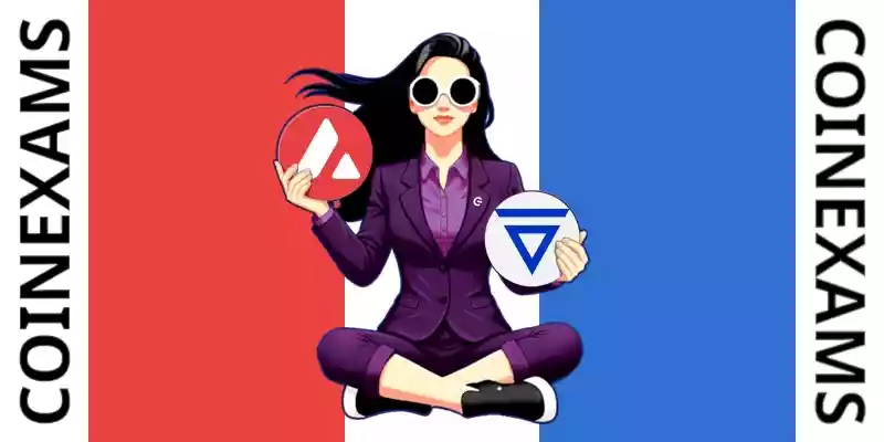 Nova (CoinExams Mascot) holding Avalanche logo on the left and holding Velas on the right.
