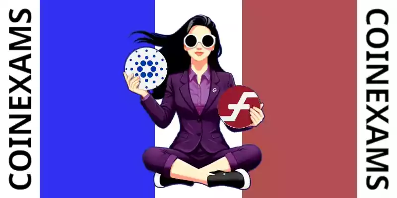 Nova (CoinExams Mascot) holding Cardano logo on the left and holding Firo on the right.